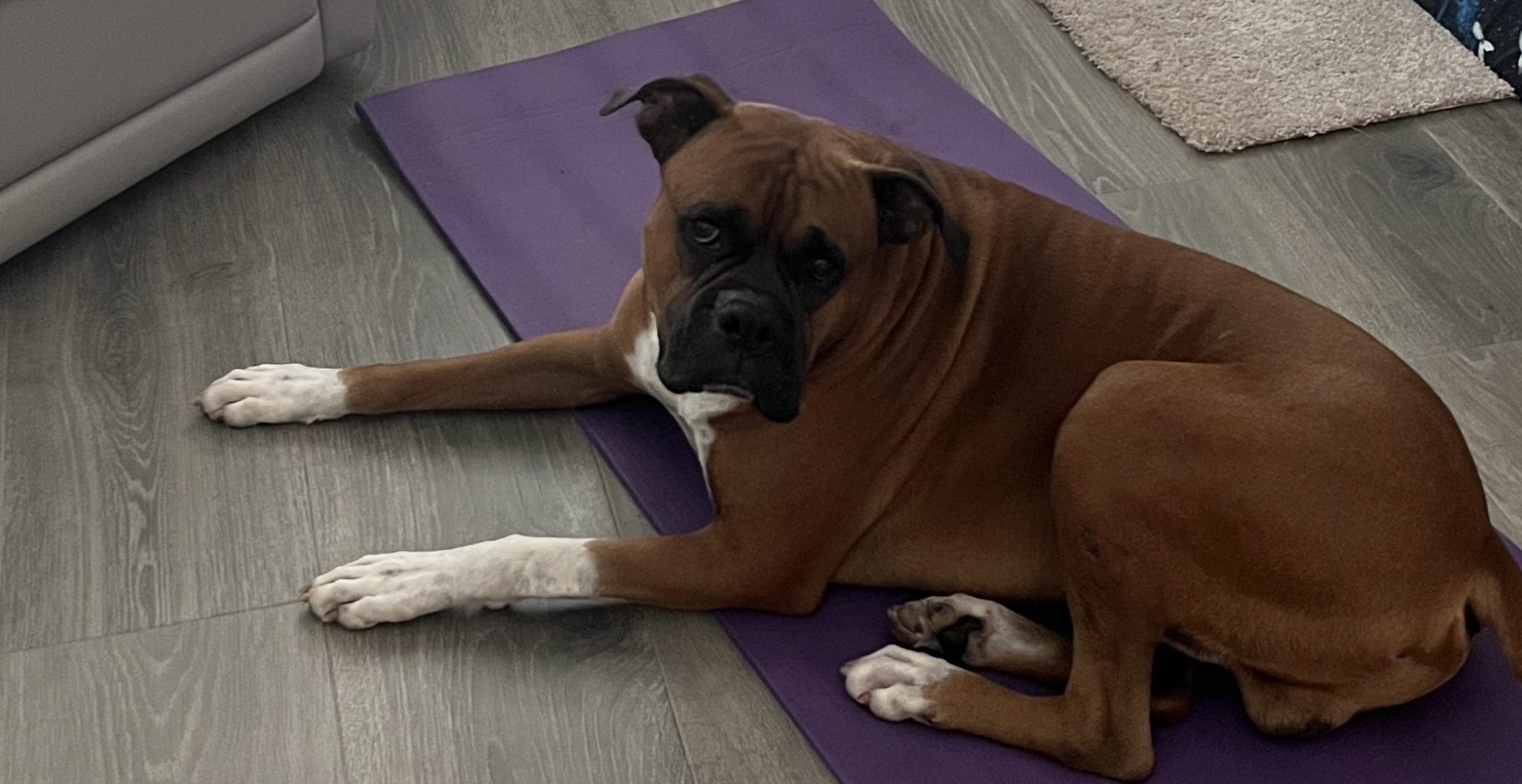 Relaxing on my Yoga Mat after a Long Night at the Studio...Woof!