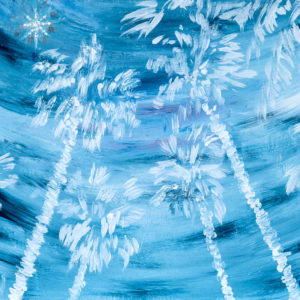 Guiding Star - Giclées